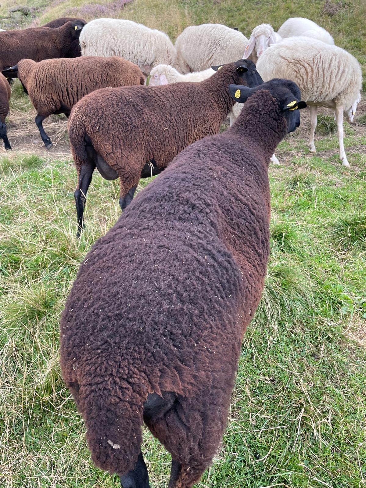 Blick auf die Landschaft